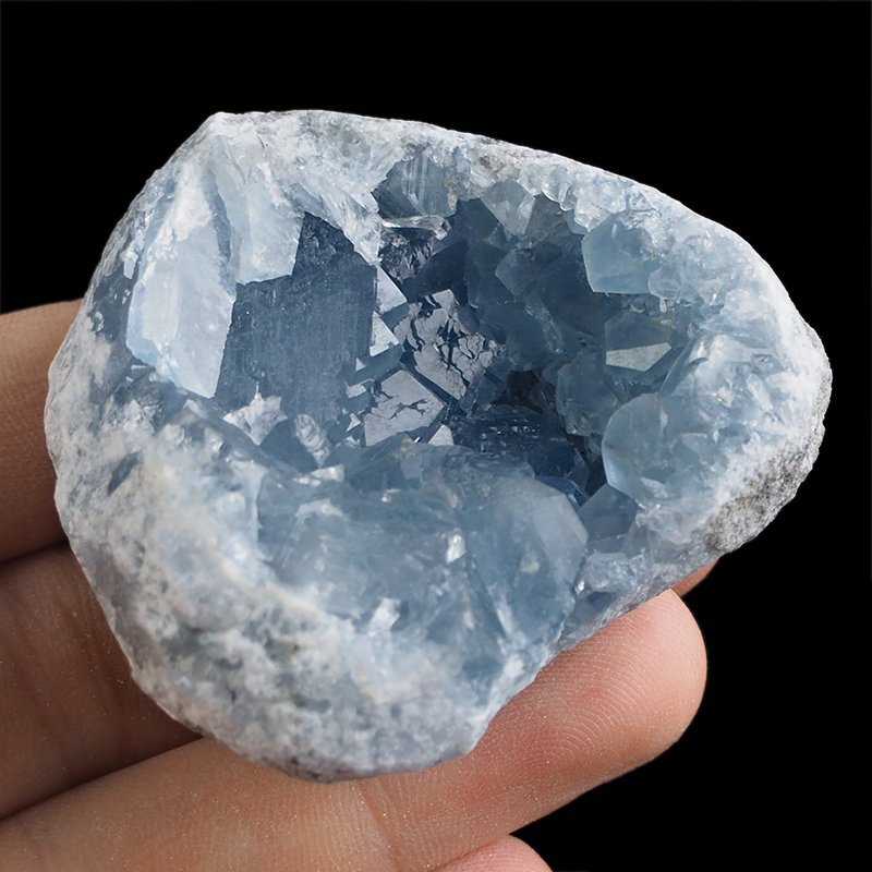 CELESTYN - GEODA - 54 mm - MADAGASKAR