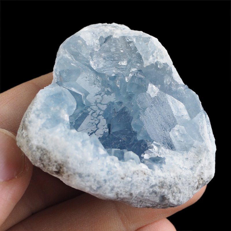 CELESTYN - GEODA - 54 mm - MADAGASKAR