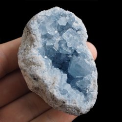 CELESTYN - GEODA - 70 mm - MADAGASKAR