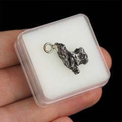 Campo del Cielo - WISIOREK Z METEORYTEM - 22 mm - ARGENTYNA