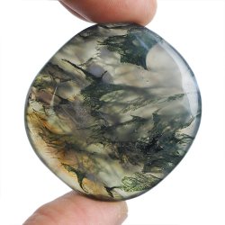 AGAT MSZYSTY - PŁASKI OTOCZAK - 42 mm