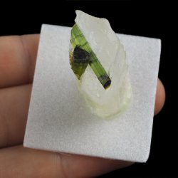 ZIELONY TURMALIN WERDELIT, KRYSZTAŁ GÓRSKI - 35 mm - BRAZYLIA