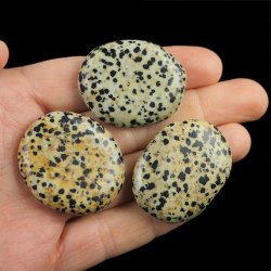 JASPIS DALMATYŃCZYK - PŁASKI OTOCZAK - 35-40 mm