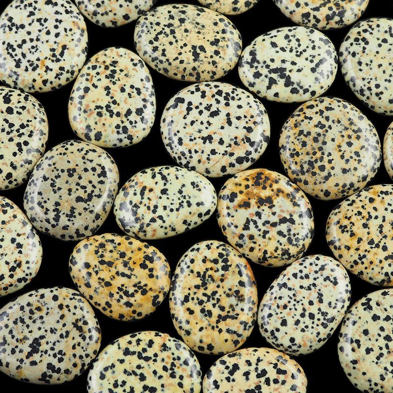 JASPIS DALMATYŃCZYK - PŁASKI OTOCZAK - 35-40 mm