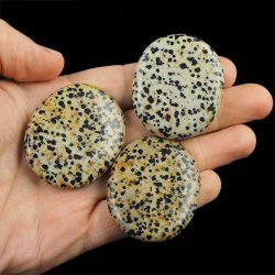 JASPIS DALMATYŃCZYK - PŁASKI OTOCZAK - 45-50 mm