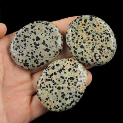 JASPIS DALMATYŃCZYK - PŁASKI OTOCZAK - 45-50 mm