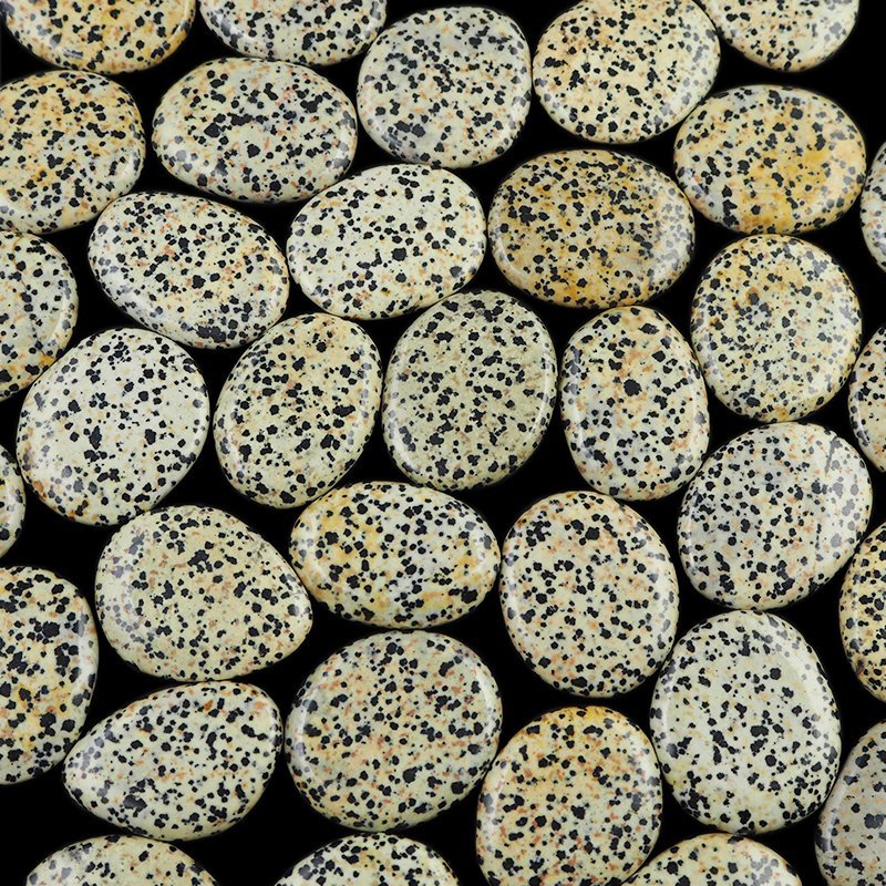 JASPIS DALMATYŃCZYK - PŁASKI OTOCZAK - 45-50 mm