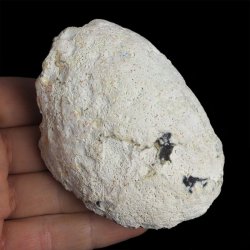 AGAT  - 72 mm - BRAZYLIA