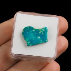 TURKUS - 21 mm - ARMENIA