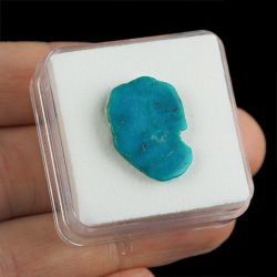 TURKUS - 21 mm - ARMENIA