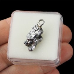 Campo del Cielo - WISIOREK Z METEORYTEM - 24 mm - ARGENTYNA