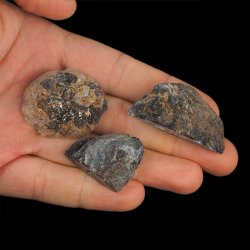 AGAT - ZESTAW TRZECH GEODEK - 28-43 mm  - BRAZYLIA