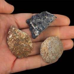 AGAT - ZESTAW TRZECH GEODEK - 36-45 mm  - BRAZYLIA