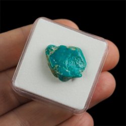 TURKUS - 21 mm - ARMENIA