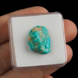 TURKUS - 20 mm - ARMENIA