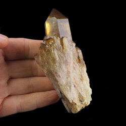 CYTRYN - 100 mm - KONGO