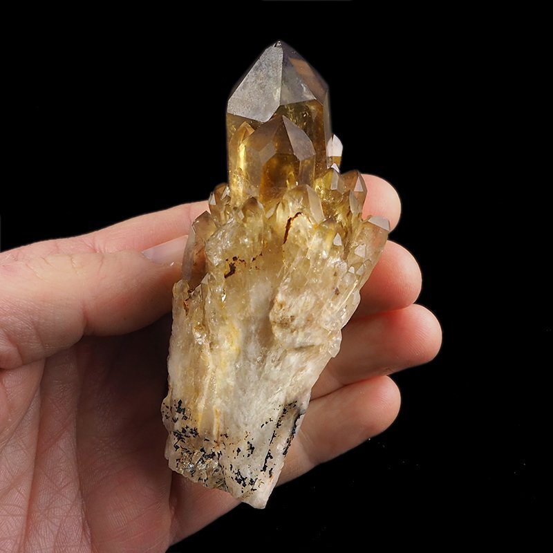 CYTRYN - 100 mm - KONGO