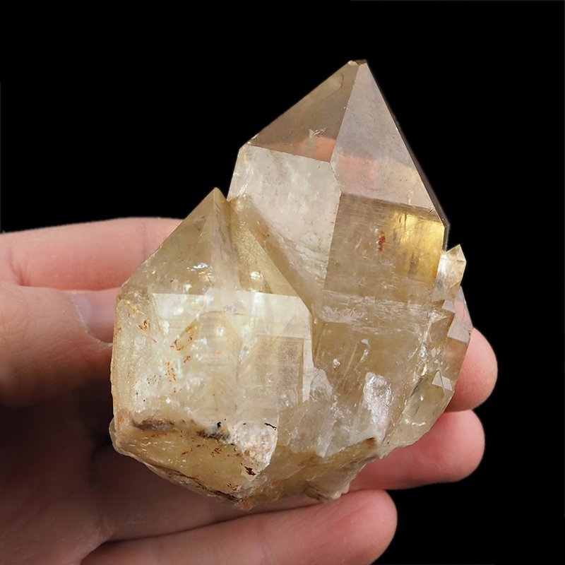 CYTRYN - 75 mm - KONGO