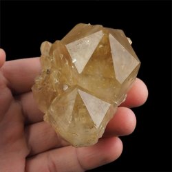 CYTRYN - 75 mm - KONGO