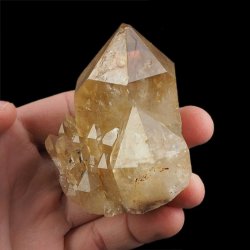 CYTRYN - 75 mm - KONGO