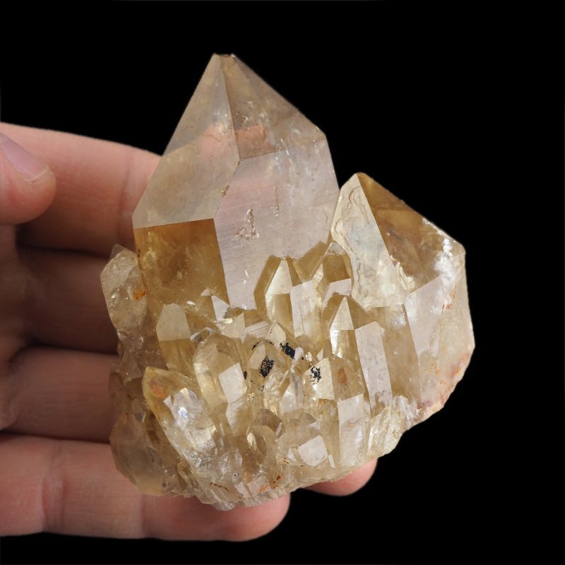 CYTRYN - 75 mm - KONGO