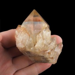 CYTRYN - 66 mm - KONGO