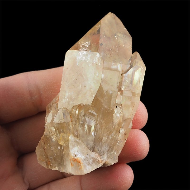 CYTRYN - 76 mm - KONGO