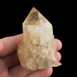 CYTRYN - 76 mm - KONGO