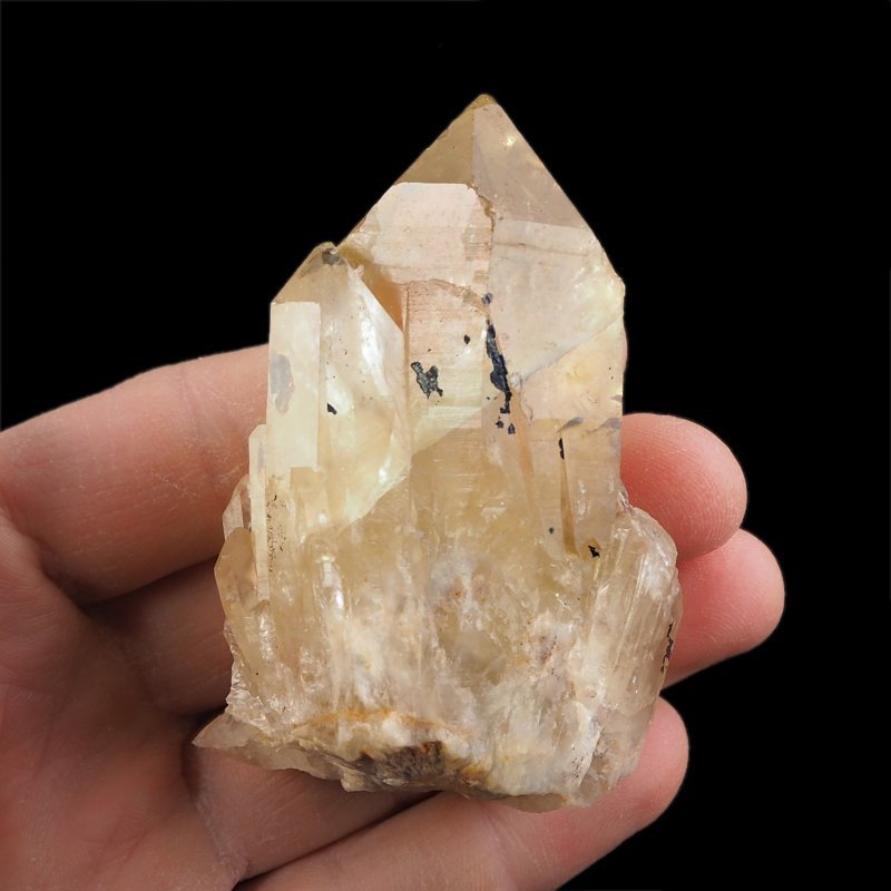 CYTRYN - 76 mm - KONGO