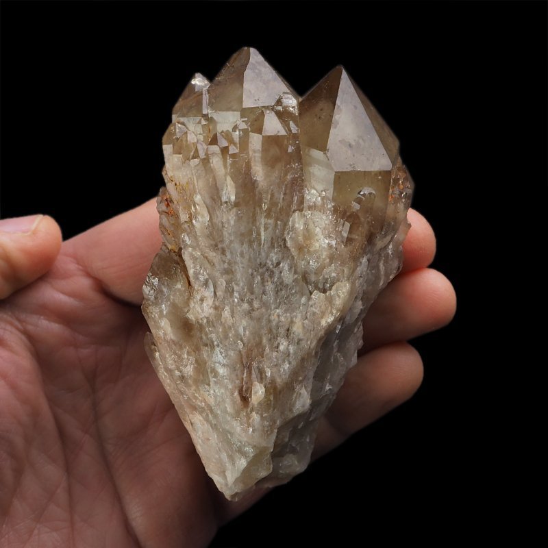 KWARC DYMNY - 102 mm - KONGO