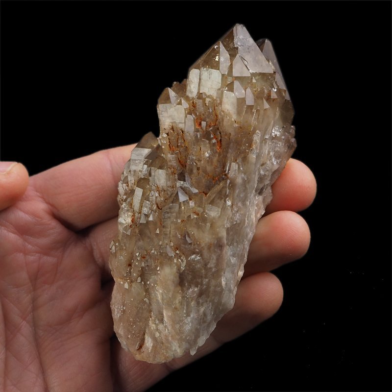 KWARC DYMNY - 102 mm - KONGO