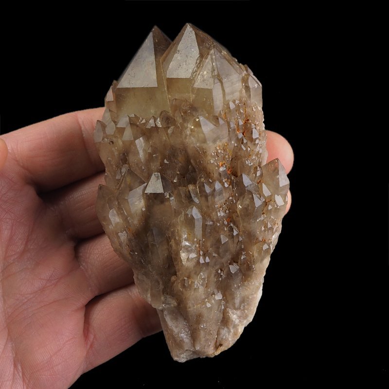 KWARC DYMNY - 102 mm - KONGO