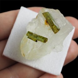 ZIELONY TURMALIN WERDELIT, KWARC - 37 mm - BRAZYLIA