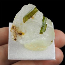 ZIELONY TURMALIN WERDELIT, KWARC - 37 mm - BRAZYLIA