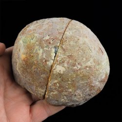 AGAT - DWIE POŁÓWKI - 91 mm - BRAZYLIA