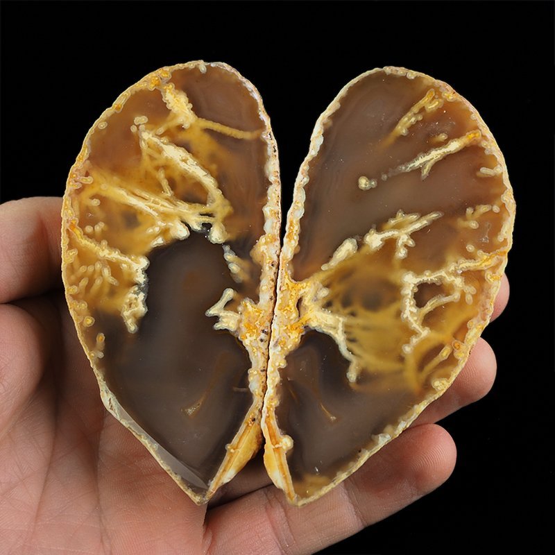 AGAT - DWIE POŁÓWKI - 93 mm - BRAZYLIA