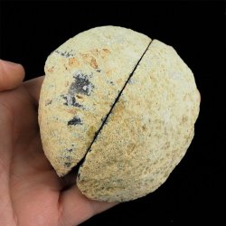 AGAT - DWIE POŁÓWKI - 82 mm - BRAZYLIA