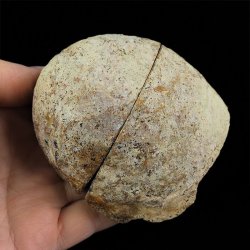 AGAT - DWIE POŁÓWKI - 83 mm - BRAZYLIA