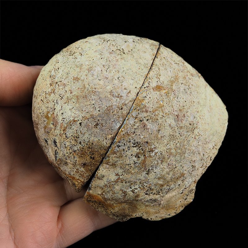 AGAT - DWIE POŁÓWKI - 83 mm - BRAZYLIA