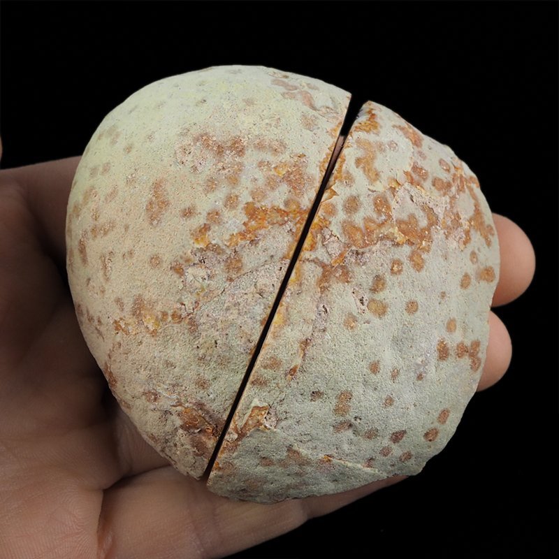 AGAT - DWIE POŁÓWKI - 73 mm - BRAZYLIA