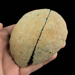 AGAT - DWIE POŁÓWKI - 87 mm - BRAZYLIA