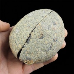 AGAT - DWIE POŁÓWKI - 84 mm - BRAZYLIA