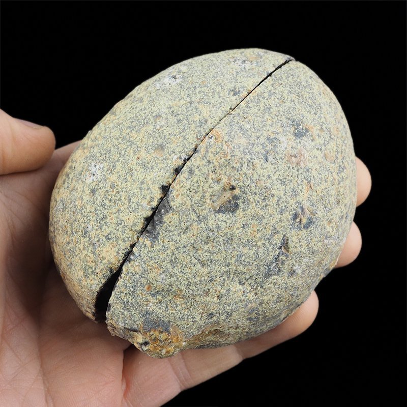 AGAT - DWIE POŁÓWKI - 84 mm - BRAZYLIA