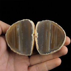 AGAT - DWIE POŁÓWKI - 65 mm - BRAZYLIA