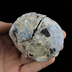 AGAT - DWIE POŁÓWKI - 78 mm - BRAZYLIA