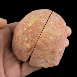 AGAT - DWIE POŁÓWKI - 77 mm - BRAZYLIA