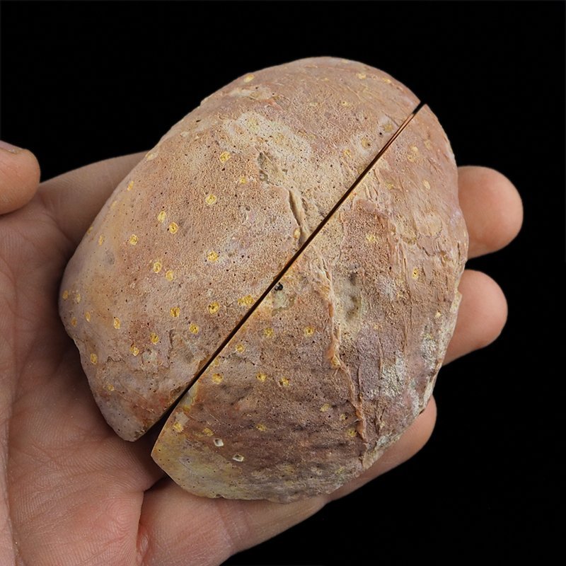 AGAT - DWIE POŁÓWKI - 80 mm - BRAZYLIA