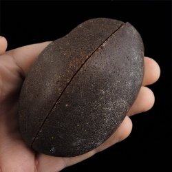 AGAT - DWIE POŁÓWKI - 86 mm - BRAZYLIA