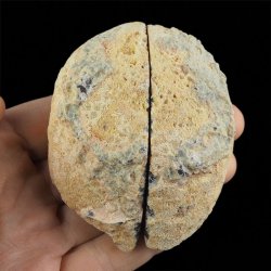 AGAT - DWIE POŁÓWKI - 80 mm - BRAZYLIA