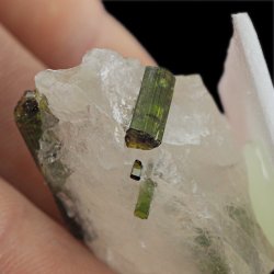 ZIELONY TURMALIN WERDELIT, KRYSZTAŁ GÓRSKI - 39 mm - BRAZYLIA